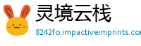 灵境云栈
